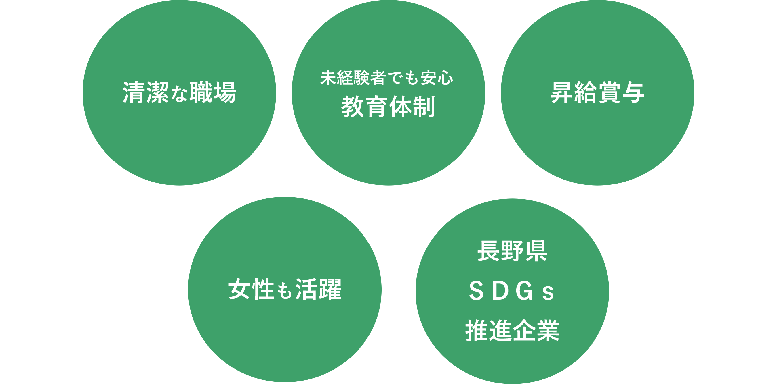 充実した教育体制